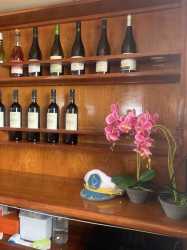 Dream of Turtles ST Georgios II rejs poranny z Protaras - marzenie zobaczyć żółwie dla rodzin