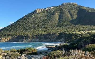 Marathon [1] Jeep Safari - Narodowy Park Akamas z Larnaki