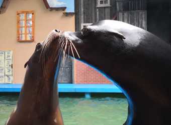 wycieczka fakultatywna